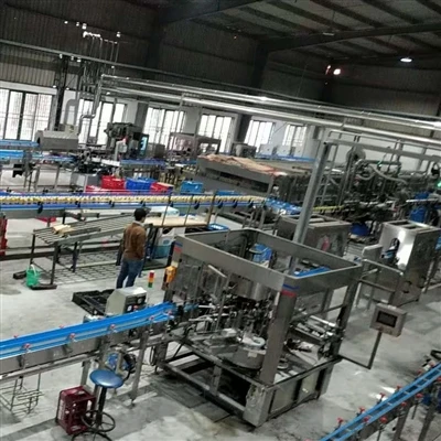 Vietnam Filling Project Ultra Higienic Filling Machine per a la cervesa